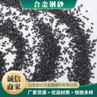 合金钢砂G18 喷丸抛丸打砂清理除锈 合金钢丸 清理速度快颗粒均匀图4