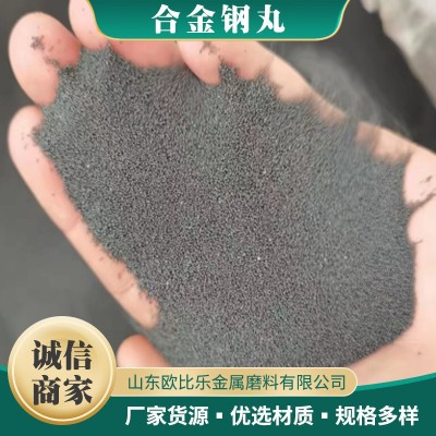 专业生产国标钢丸 各种型号钢砂 抛丸机用高效耐磨不伤机器图3