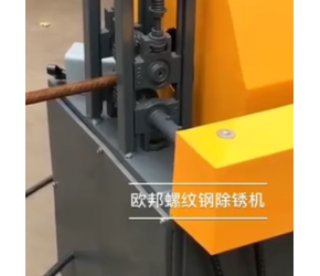 现场实拍螺纹钢除锈机螺纹钢抛光机定制