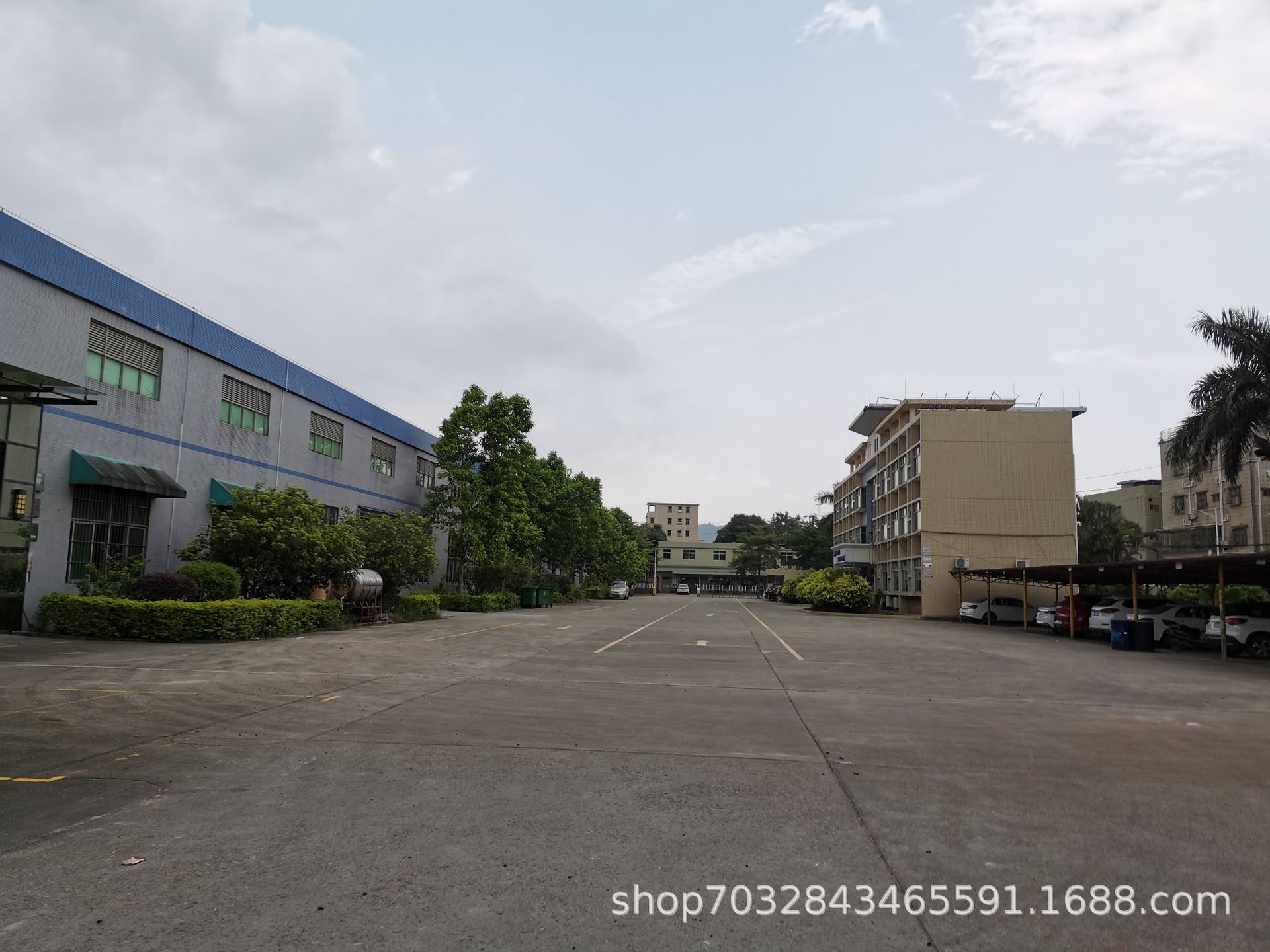 92.jpg