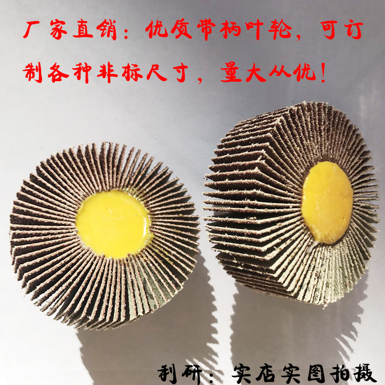带柄叶轮主1