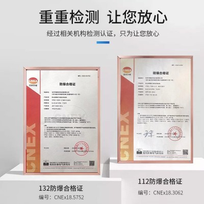 厂家供应金属粉尘台式防爆玉石不锈钢除锈3kw打磨除尘一体抛光机图3