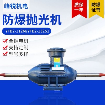 厂家供应金属粉尘台式防爆玉石不锈钢除锈3kw打磨除尘一体抛光机图2