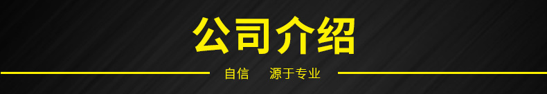 公司介绍