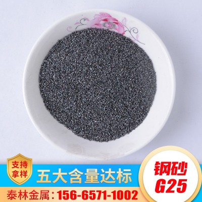 现货抛丸机专用合金钢丸 铸钢丸 抛丸喷砂除锈磨料钢砂G25图4