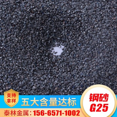 现货抛丸机专用合金钢丸 铸钢丸 抛丸喷砂除锈磨料钢砂G25图5