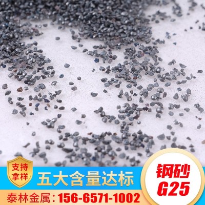 泰林金属厂家 钢砂G25工程配重用喷砂G12铸钢砂抛丸机用 G40钢砂图4