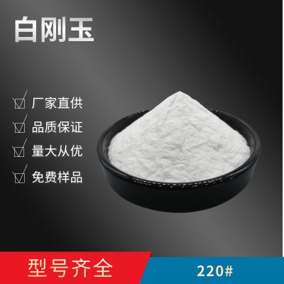 16目24目30目46目60目80#100号120目150目180目220一级白刚玉砂图3