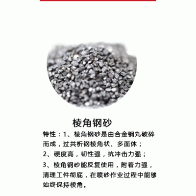 高硬度研磨轴承棱角钢砂G12 合金国标 喷砂除锈金刚砂图4