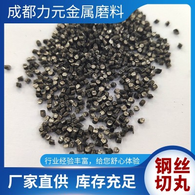 钢丸钢砂钢丝切丸抛丸机钢砂抛丸机钢丸切丸磨料铸钢丸不锈钢丸图3