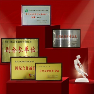 HTC专用金刚石磨块 卡槽式磨块 石材混凝土环氧地坪磨片 高性价比图5