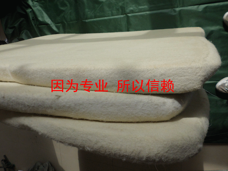 cimg0806_副本3张厚毡图4