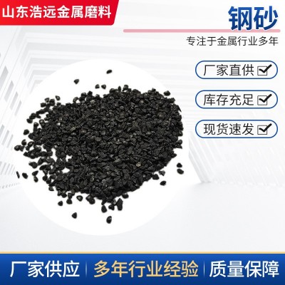 厂家现货 钢砂 喷砂机专用金属磨料 表面处理喷砂除锈专用 钢砂图2