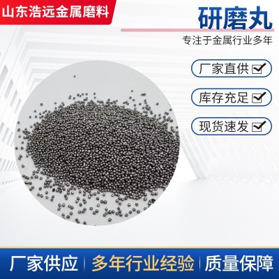 研磨丸喷砂除锈 厂家现货抛丸机钢砂研磨丸 钢丝切丸