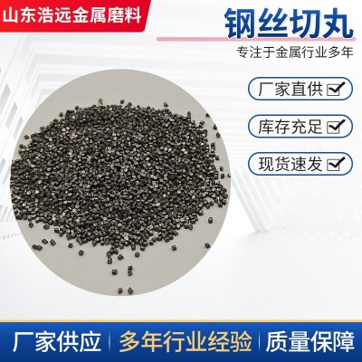 厂家现货 钢丝切丸 1.5mm喷砂加工轮胎丝喷丸机除锈磨料 钢丝切丸