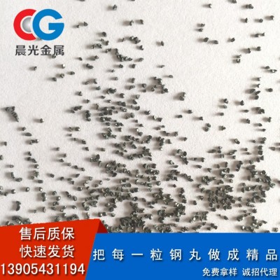 买家保障 厂家大量生产国标铸钢砂G40 快速发货 实商保障