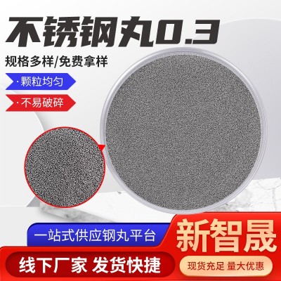 不锈钢丸0.3厂家批发304不锈钢磨圆丸 抛丸机喷砂除锈钢丝切丸铁