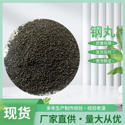 厂家直供钢丸 不锈钢钢丸喷砂除锈钢丸发货及时 产品质量保障