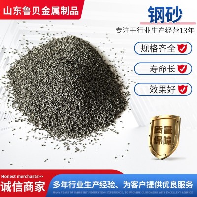 铁砂喷砂除锈 工厂直销抛丸机钢砂钢丸钢丝切丸棱角铁砂 g1 8钢砂图5