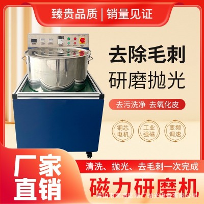 15公斤平移强磁力研磨抛光机变频调速五金表面处理光饰机工业图3