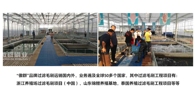 304不锈钢过滤毛刷12.jpg