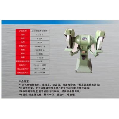 M3030立式砂轮机图4