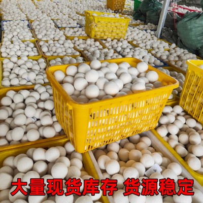羊毛球毛毡干燥球烘干球diy除静电防缠绕羊毛球洗衣烘干机洗衣球图4