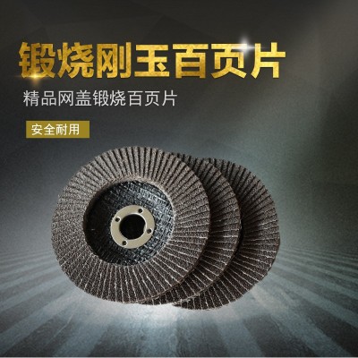 圣叠百叶片 煅烧刚玉百叶片100×16 打磨 抛光打磨除锈 厂家直销图2